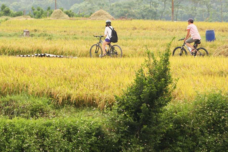 Hanoi bike tour Hanoi local tour