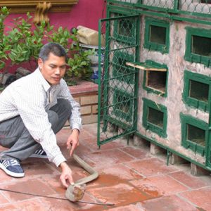 Le Mat Snake Village