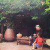 Old House in Duong Lam Ancient Village