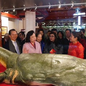 night tours to explore Ngoc Son Temple