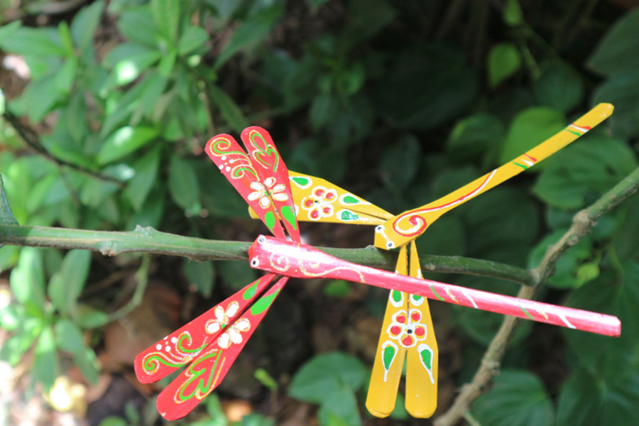 Thach Xa Dragonfly Bamboo Village- Vibrant Beauty in Full Color