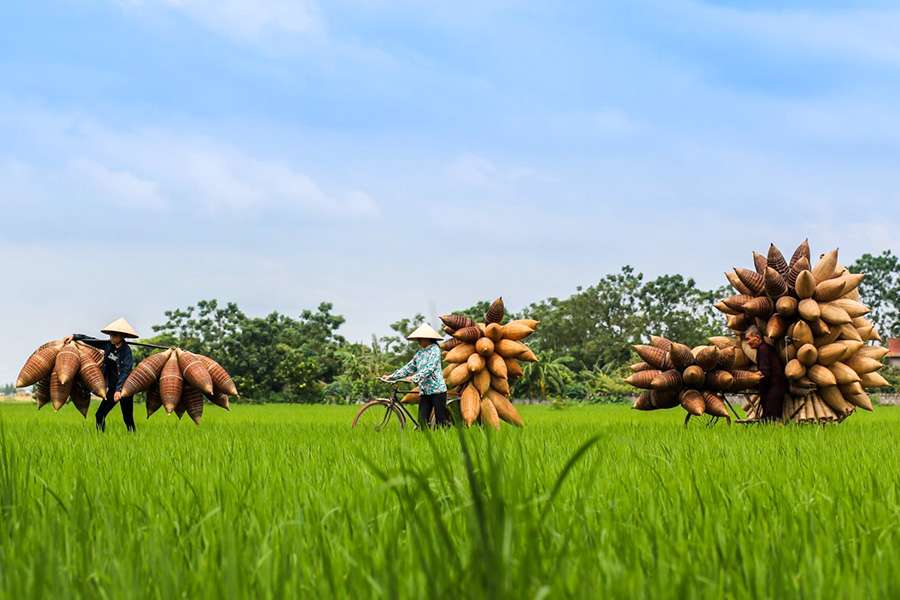 Thu Sy Bamboo Fish Trap Village - Hanoi village tours