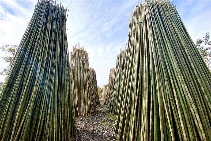 Xuan Lai burnt bamboo village-Hanoi village tours